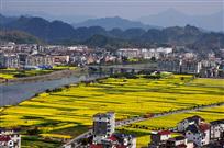 美丽家园