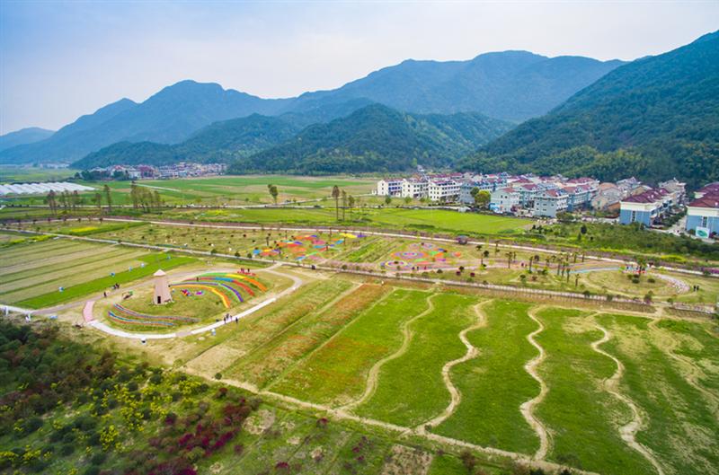 下一页 作品名称: 花样年华  作品描述:   拍摄地点: 上江村百花园