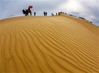 “驴”行大漠