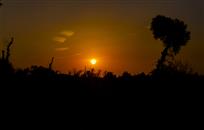 夕照