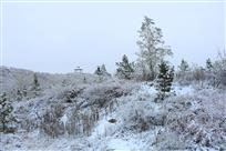 雪后琼林