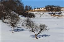 塞北初雪