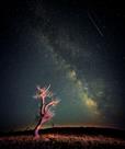 《遥望星空》