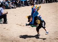 小小博克手