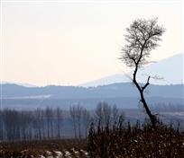 山韵