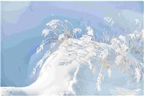 雪草雾松