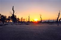《夕阳西下》