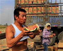 瓜甜人悦-